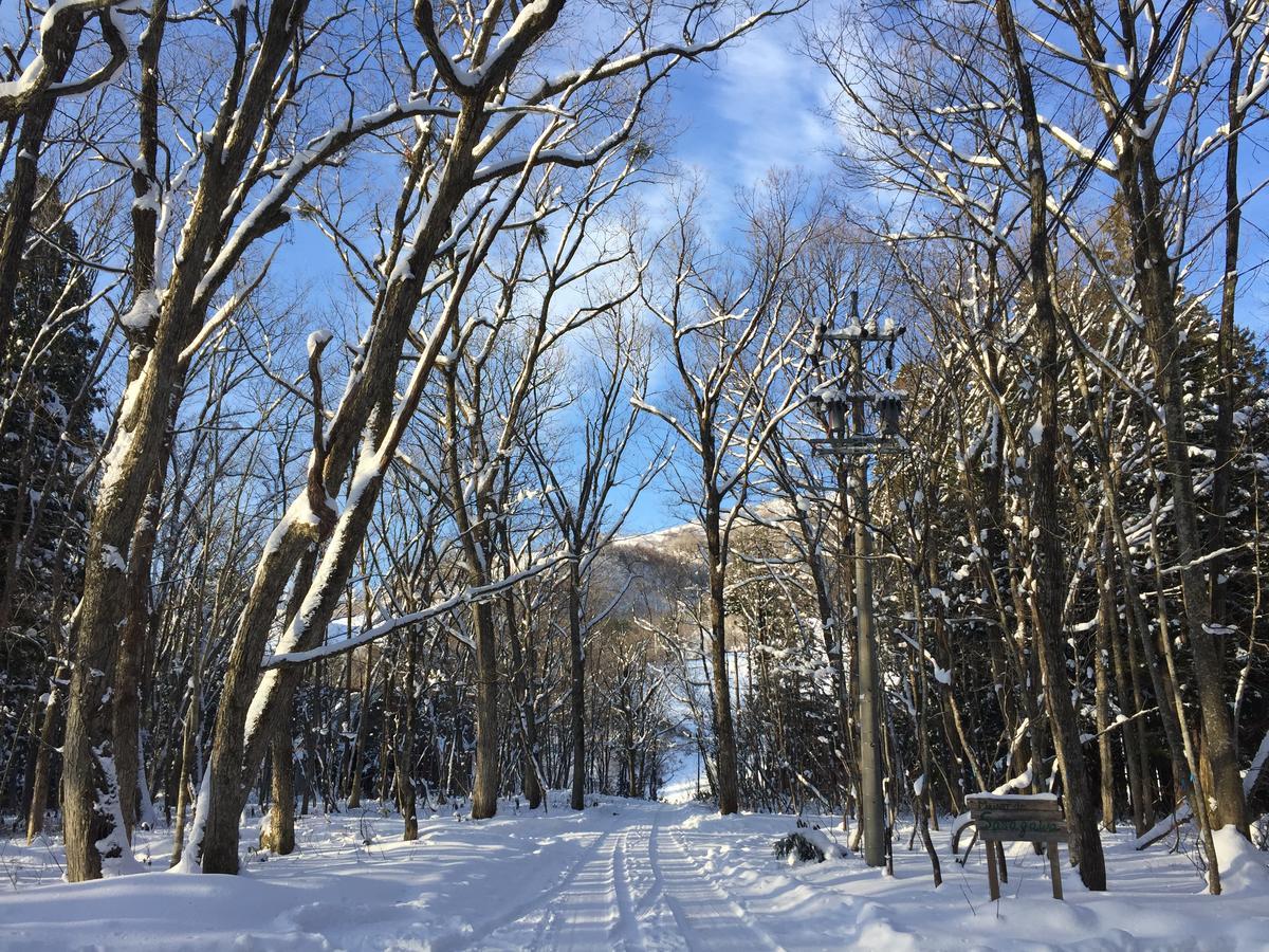 麦森迪笹川酒店 白马村 外观 照片